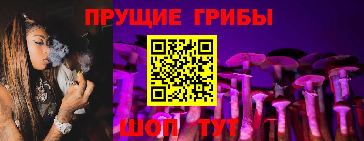 Псилоцибиновые грибы прущие грибы  Вход с VPN  Карасук  даркнет сайт  Псилоцибиновые грибы ЛСД 