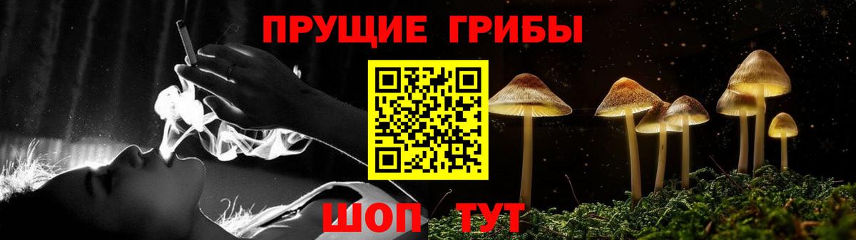Псилоцибиновые грибы ЛСД Карасук